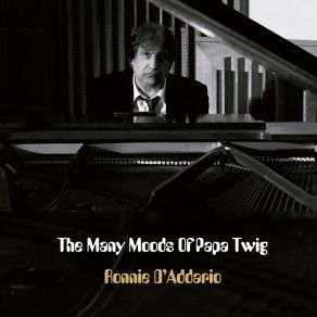 The Many Moods Of Papa Twig album cover