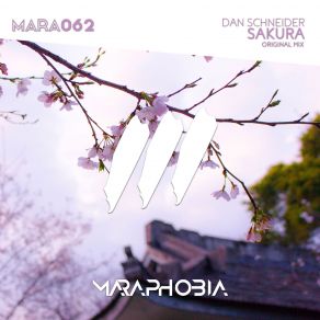 Sakura (Single) album cover