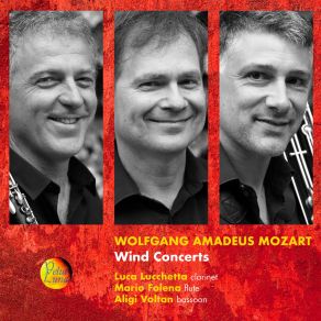Wolfgang Amadeus Mozart: Wind Concerts album cover