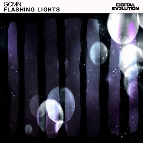 Flashing Lights (Single) album cover