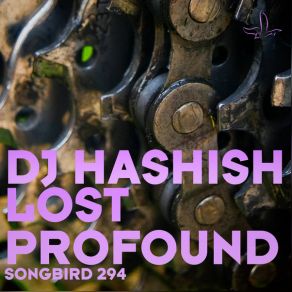 Lost / Profound album cover