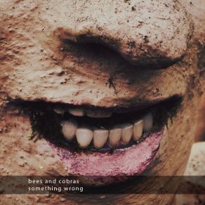 Something Wrong album cover