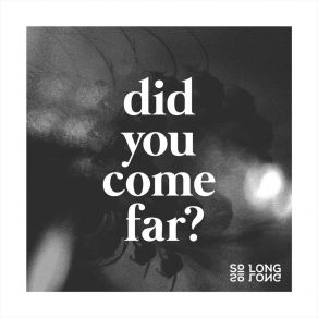 Did You Come Far? album cover
