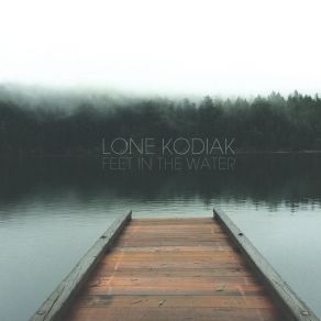 Feet In The Water album cover