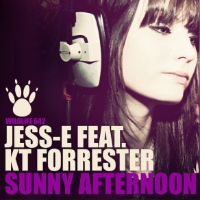 Sunny Afternoon album cover