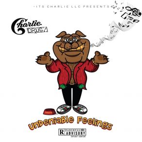 Undeniable Feelings album cover