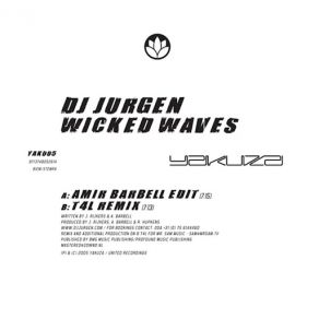 Wicked Waves (Maxi-Single) album cover