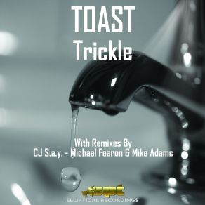 Trickle album cover