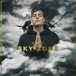 Sky Zone album cover