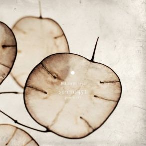 Panta Rei album cover
