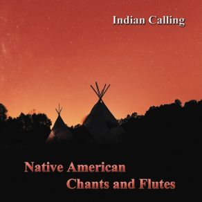Native American Chants And Flutes (12 Best Contemporary Native American Tunes) album cover