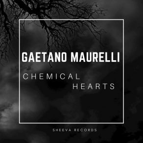 Chemical Hearts album cover