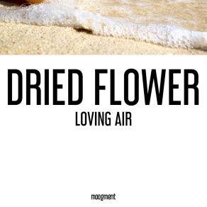 Loving Air album cover