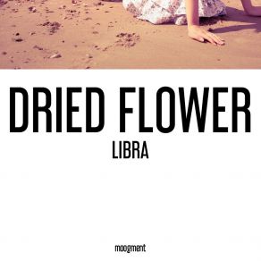Libra album cover