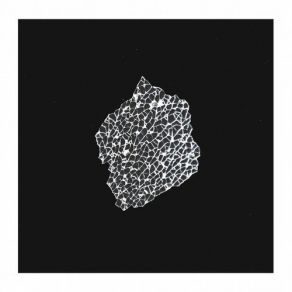 Festnetz album cover