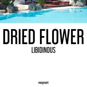 Libidinous album cover