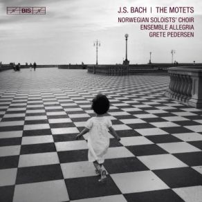 Bach: The Motets album cover
