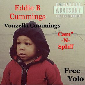 Free Yolo album cover