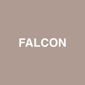 Falcon (Single) album cover