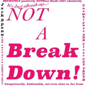 It's Just A Break Up... Not A Breakdown! (Single) album cover