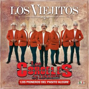 Los Viejitos (Single) album cover