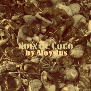 Noix De Coco (Single) album cover