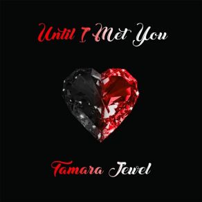 Until I Met You (Single) album cover