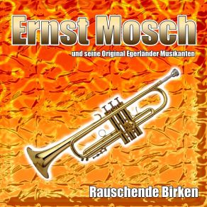 Rauschende Birken (Single) album cover