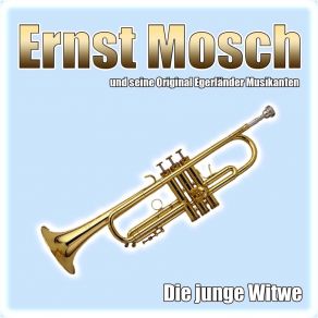Die Junge Witwe (Single) album cover