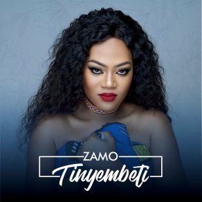 Tinyembeti (Single) album cover