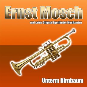 Unterm Birnbaum (Single) album cover