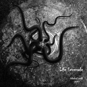 Life Serenade (Single) album cover