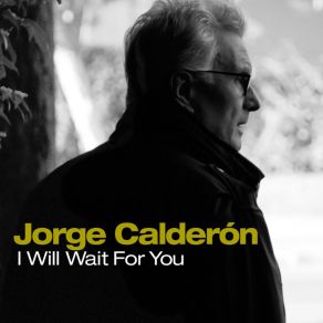 I Will Wait For You (Single) album cover
