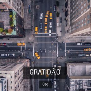 Gratidão (Single) album cover