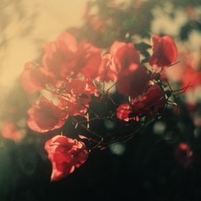 Hearts (Single) album cover