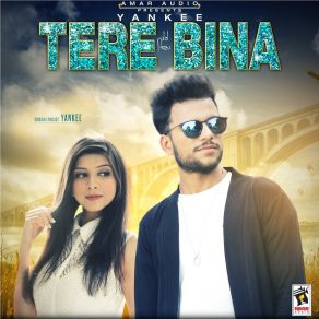 Tere Bina (Single) album cover