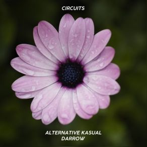 Circuits (Single) album cover