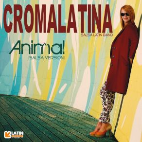 Animal (Salsa Version) (Single) album cover