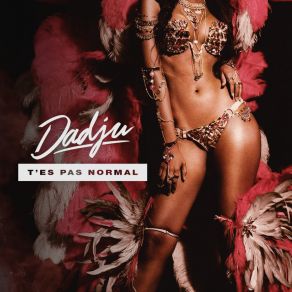 T'es Pas Normal (Single) album cover