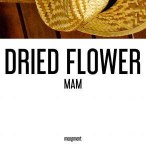 Mam (Single) album cover