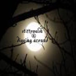Digging Around (Single) album cover