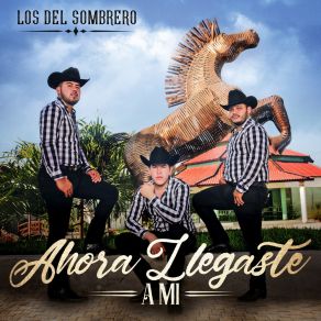 Ahora Llegaste A Mi (Single) album cover