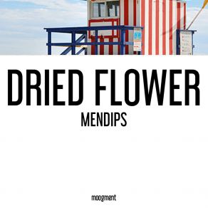 Mendips (Single) album cover