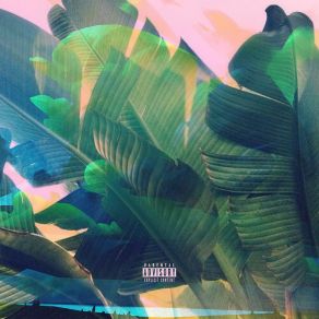 CV 2 album cover