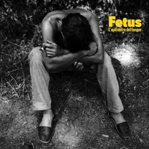 L'epicentre Del Fangar album cover