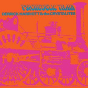 Psychedelic Train album cover
