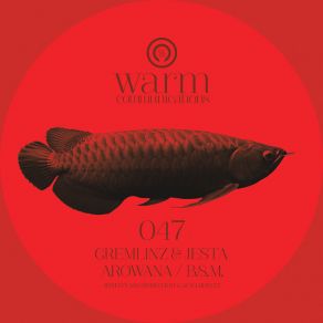 Arowana / BSM (Maxi-Single) album cover