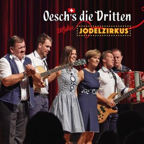 20 Jahre Jodelzirkus (Live) album cover
