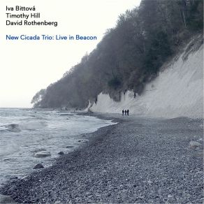 New Cicada Trio: Live In Beacon (Live) album cover