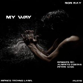 My Way album cover